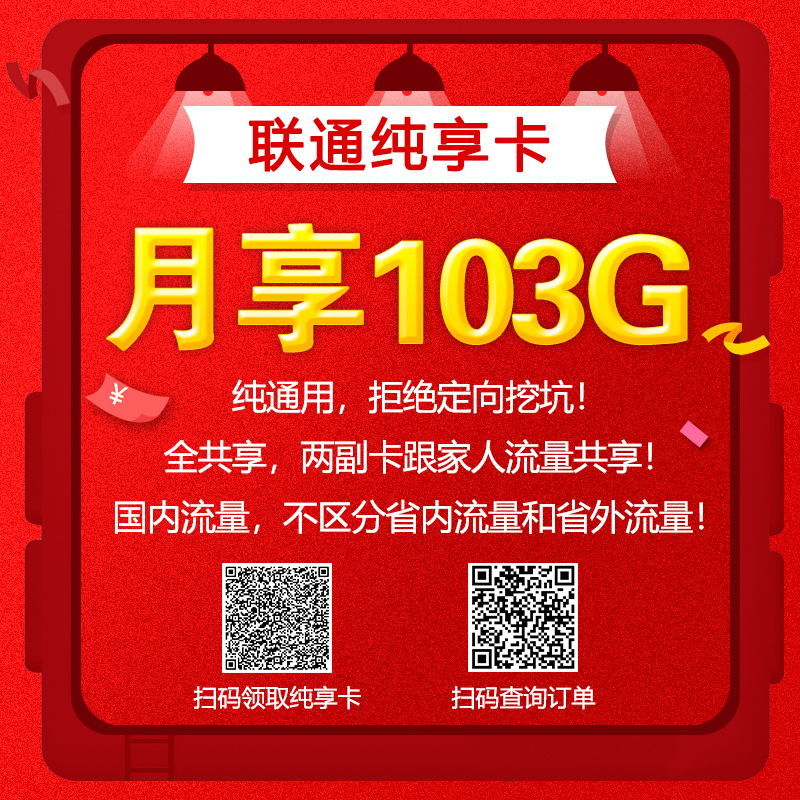 联通纯享版流量王卡套餐：广东联通流量王纯享版103G+100分钟通话40元(图2)