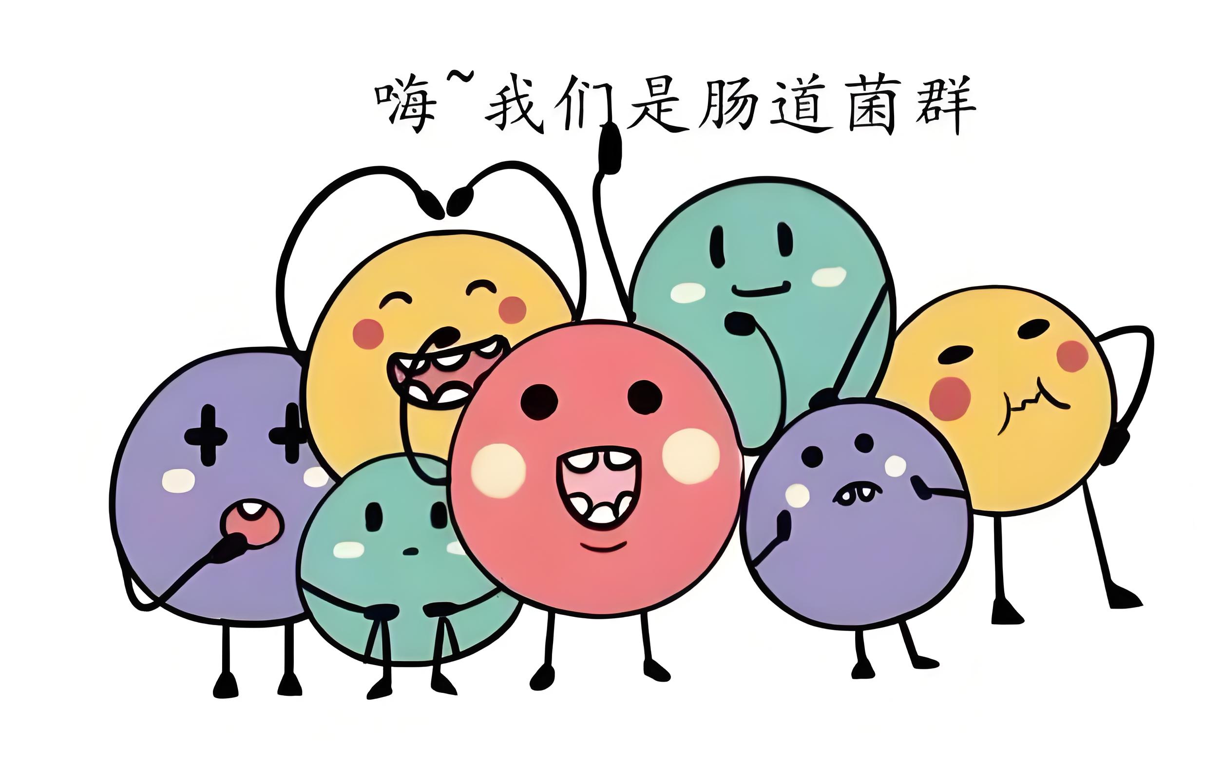 什么是肠道菌群？肠道菌群有什么用？(图2)